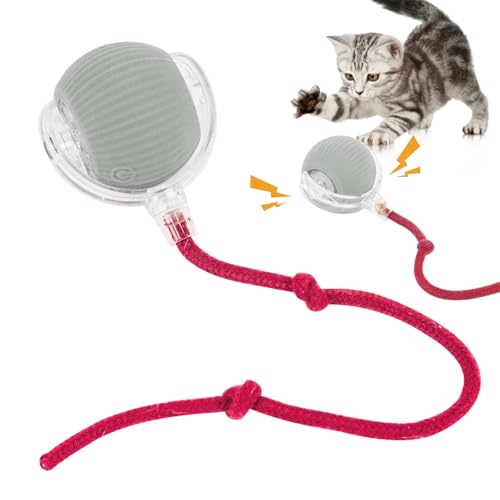 Kyduu Interaktives Katzenball Spielzeug, Wiederaufladbarer Elektrisch Katzenspielzeug Ball,DREI Arbeitsmodi mit LED Licht, Aufladbar 360° Interactive Hunting Cat Toy für Katzen und Kätzchen(Grau) von Kyduu