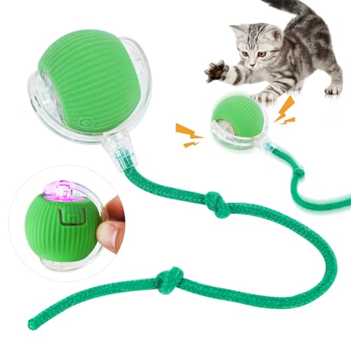 Kyduu Interaktives Katzenball Spielzeug, Wiederaufladbarer Elektrisch Katzenspielzeug Ball,DREI Arbeitsmodi mit LED Licht, Aufladbar 360° Interactive Hunting Cat Toy für Katzen und Kätzchen(Grün) von Kyduu
