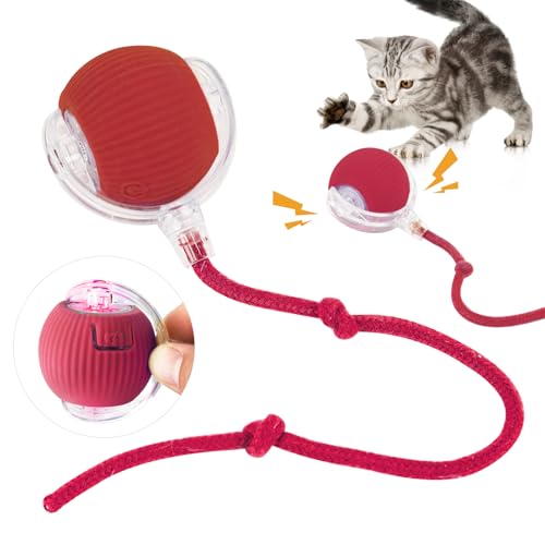 Kyduu Interaktives Katzenball Spielzeug, Wiederaufladbarer Elektrisch Katzenspielzeug Ball,DREI Arbeitsmodi mit LED Licht, Aufladbar 360° Interactive Hunting Cat Toy für Katzen und Kätzchen(Rot) von Kyduu