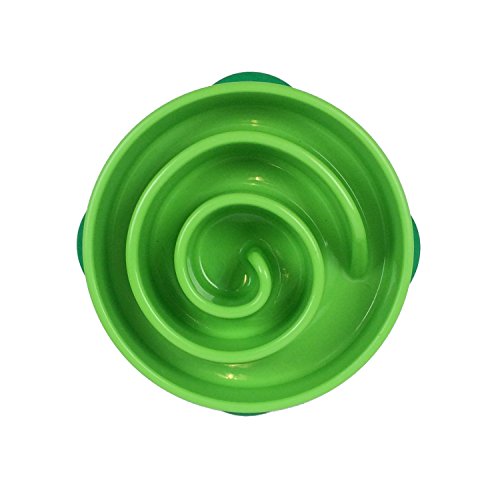 Kyjen Outward Hound Fun Feeder Green Coral Hundenapf, klein von Kyjen