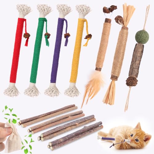 Katzenspielzeug, Katzenkauspielzeug, Silvervine Sticks, Katzenminze Seilspielzeug für Katzen Zahnreinigung, Kätzchen Zahnpflege, Katzenspielzeug ab Katzenspielzeug, Katzenkauspielzeug, Silvervine Sticks, Katzenminze Seilspielzeug für Katzen Zahnreinigung, Kätzchen Zahnpflege, Katzenspielzeug ab von Kyouki