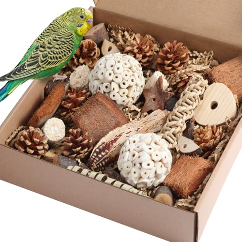 Kyouki Vogelspielzeug, Papageienspielzeug, natürliches Vogelfutterkasten, Fußspielzeug für Sittiche, Nymphensittiche, Sittiche, Liebesvögel und andere kleine bis mittelgroße Vögel (groß) von Kyouki
