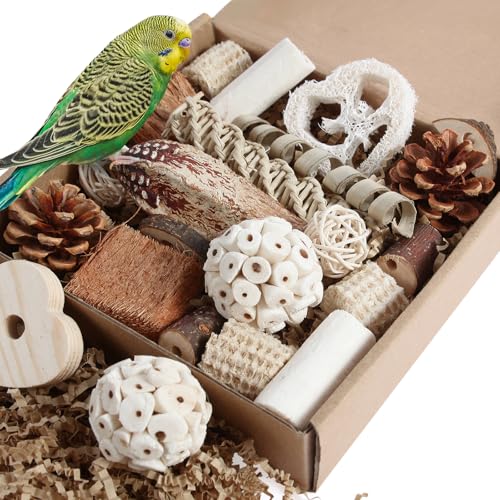 Kyouki Vogelspielzeug, Papageienspielzeug, natürliches Vogelfutterkasten, Fußspielzeug für Sittiche, Nymphensittiche, Sittiche, Liebesvögel und andere kleine bis mittelgroße Vögel (mittel) von Kyouki