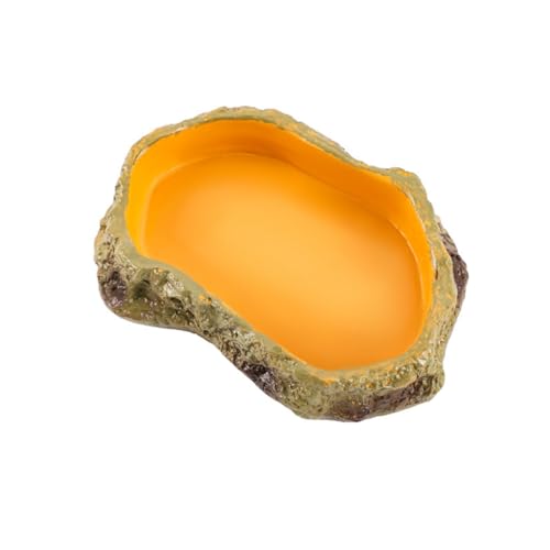 Kznifmk 1 x Futter für Terrarium, Futterstation für Amphibien, aus Harz, für Frosch, Landschildkröte, Bärteidechse, Schildkröte, S Kznifmk 1 x Futter für Terrarium, Futterstation für Amphibien, aus Harz, für Frosch, Landschildkröte, Bärteidechse, Schildkröte, S von Kznifmk