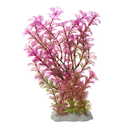 Kznifmk Künstliche Wasserpflanze aus Kunststoff, Violett/Grün, Dekoration für Aquarium Kznifmk Künstliche Wasserpflanze aus Kunststoff, Violett/Grün, Dekoration für Aquarium von Kznifmk