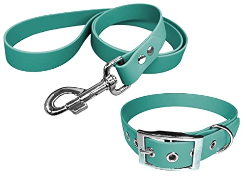 Halsband und Leine für Hunde aus BioThane, mittlere Breite (30 – 35 cm, Teal) von L'Atelier du Fourmilier