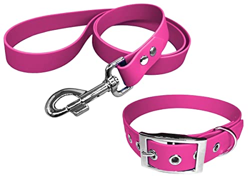 Hundehalsband und Leine aus BioThane-Material, mittlere Breite (35-40 cm, Fuchsia) von L'Atelier du Fourmilier