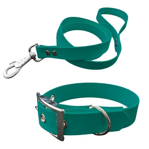 Halsband und Leine für Hunde aus BioThane, mittlere Breite (35-40 cm, Teal) von L'Atelier du Fourmilier