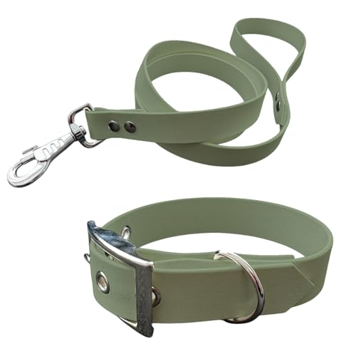 Halsband und Leine für Hunde aus BioThane, mittlere Breite (45-55 cm, Minzfarben) von L'Atelier du Fourmilier