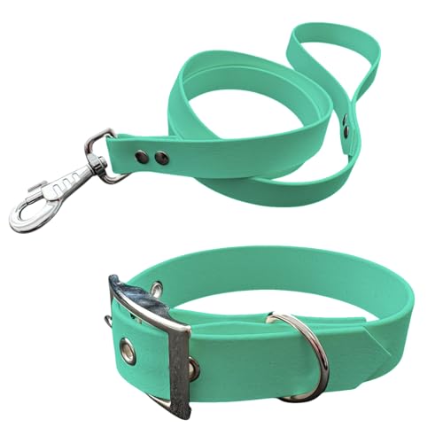 Halsband und Leine für Hunde aus BioThane, mittlere Breite (55-65 cm, Karibikgrün) von L'Atelier du Fourmilier