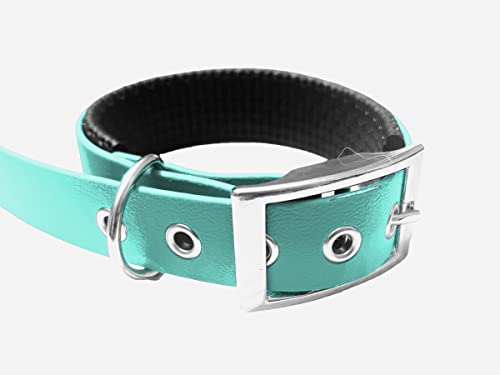 Hundehalsband aus gepolstertem BioThane-Material, mittlere Breite, Farben zur Auswahl (Halsumfang: 35 – 40 cm, Teal) von L'Atelier du Fourmilier