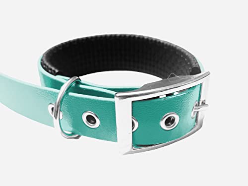 Hundehalsband aus gepolstertem BioThane-Material, mittlere Breite, Farben zur Auswahl (Halsumfang: 40 – 45 cm, Teal) von L'Atelier du Fourmilier