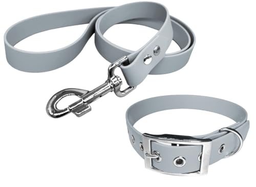 Halsband und Leine für Hunde, aus BioThane, mittlere Breite (40-45 cm, Silber) von L'Atelier du Fourmilier