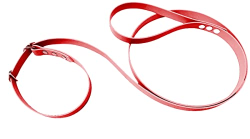 Martingale Hundehalsband aus BioThane-Material, feine Breite (rot) von L'Atelier du Fourmilier