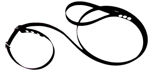 Martingale Hundeleine aus BioThane, schmal, Schwarz von L'Atelier du Fourmilier