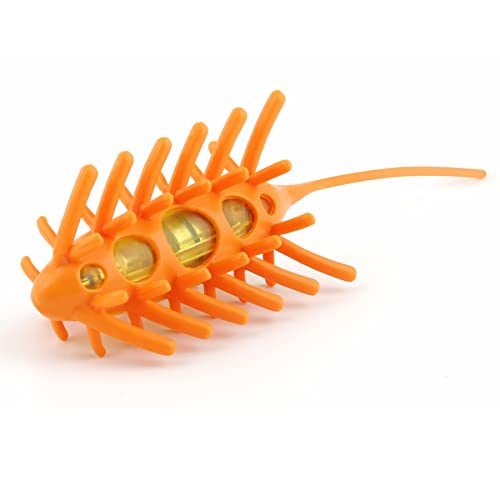 L'Chic 40450 Katzenspielzeug Moto Maus für Spaß und Anregung beim Spiel, batteriebetrieben, orange L'Chic 40450 Katzenspielzeug Moto Maus für Spaß und Anregung beim Spiel, batteriebetrieben, orange von L'Chic