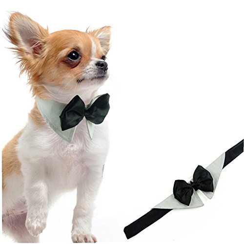 L-Peach Haustiere Fliege Schleife Kostüm Verstellbare Hunde Krawatte Hund Katze Welpen Hundekrawatte für Hochzeits Partei Gentleman Anzug L von L-Peach