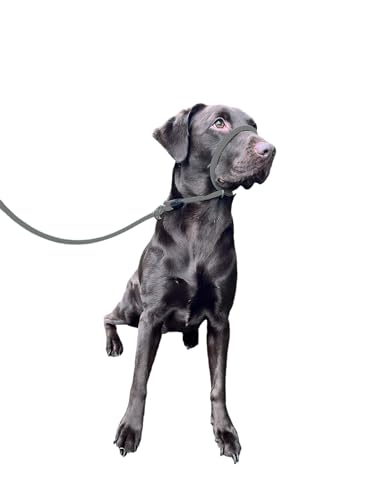L&J Pets UK All-in-One Figur 8 Anti-Zug Leine/Halfter & Halfter (Grau) von L&J Pets UK