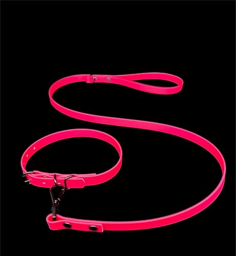 Wasserdichte Biothane Hundeleine und Halsband, Metallschnalle, schwarze Nieten, ultra-langlebig Wasserdichte Biothane Hundeleine und Halsband, Metallschnalle, schwarze Nieten, ultra-langlebig von L&J Pets Uk