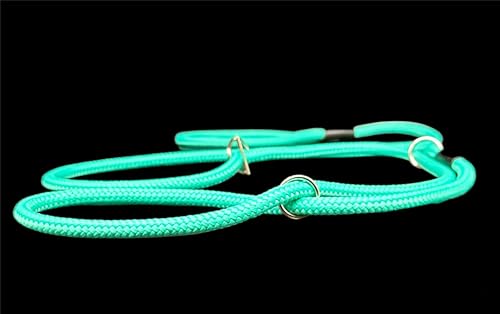All-in-One Halfter Leine/Halfter gegen Ziehen, passend für alle Hunde, Mintgrün All-in-One Halfter Leine/Halfter gegen Ziehen, passend für alle Hunde, Mintgrün von L&J Pets Uk