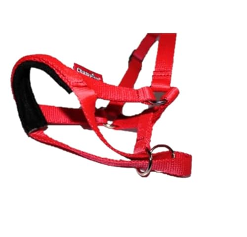 Halfter Hunde Halfter/Training Halfter Trainingsgerät Hund, Kopfgeschirr gegen Ziehen an der Leine, einfach zu bedienen, gepolstertes Nasenband, verstellbar (1, Rot) von L&J Pets Uk