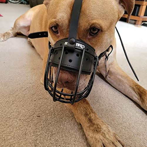 L&J Pets Uk Metall Maulkorb für Deutsche Schäferhunde & ähnliche große Hunde – Sicher, Bequem & Verstellbar (Schwarz/Schwarz, 4) von L&J Pets Uk