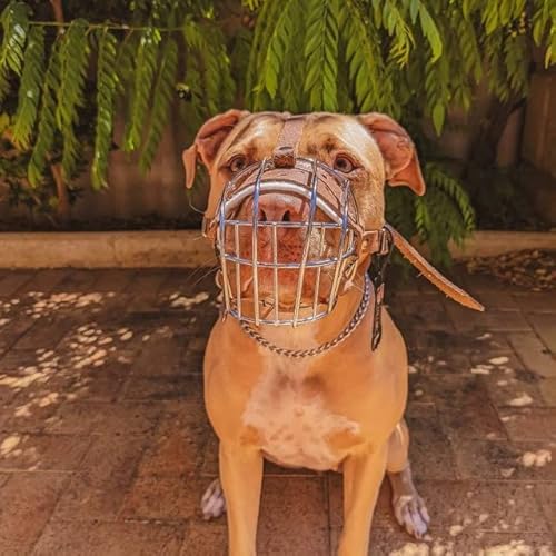 L&J Pets Uk Metall Maulkorb für Deutsche Schäferhunde & ähnliche große Hunde – Sicher, Bequem & Verstellbar (Silber/Braun, 5) von L&J Pets Uk