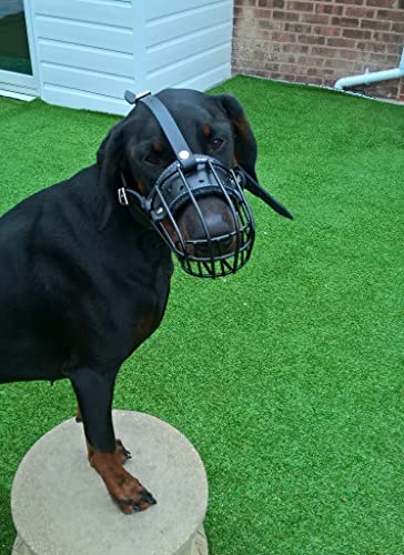L&J Pets Uk Metall Maulkorb für Dobermann und Malinois & ähnliche große Hunde – Sicher, Bequem & Verstellbar (4D, Schwarz,Schwarz) von L&J Pets Uk