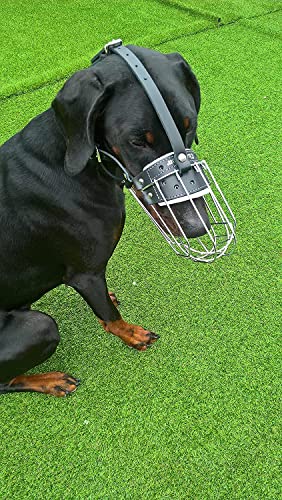 L&J Pets Uk Metall Maulkorb für Dobermann und Malinois & ähnliche große Hunde – Sicher, Bequem & Verstellbar (4D, Silber/Schwarz) von L&J Pets Uk