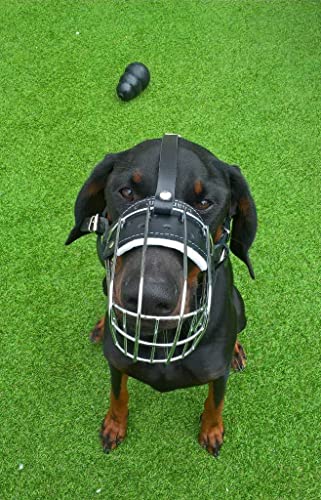 L&J Pets Uk Metall Maulkorb für Dobermann und Malinois & ähnliche große Hunde – Sicher, Bequem & Verstellbar (DB, Silber/Schwarz) von L&J Pets Uk