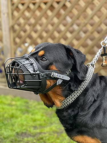Starker Maulkorb aus Drahtmetall für Hunde, Rottweiler, Mastiff, Golden Retriever und andere (TR, schwarz/schwarzes Leder) von L&J Pets Uk