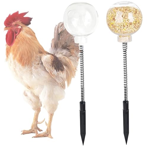Hühnerbehördespender, 2pcs 15, 8 -Zoll -Hühnerspielzeug für Coop, poröser Ball und Frühling Entenbehälter für Hühner, Geflügel, Vögel, Papageienanreicherung, Anreicherungsspielzeug Hühnerbehördespender, 2pcs 15, 8 -Zoll -Hühnerspielzeug für Coop, poröser Ball und Frühling Entenbehälter für Hühner, Geflügel, Vögel, Papageienanreicherung, Anreicherungsspielzeug von LAANCOO