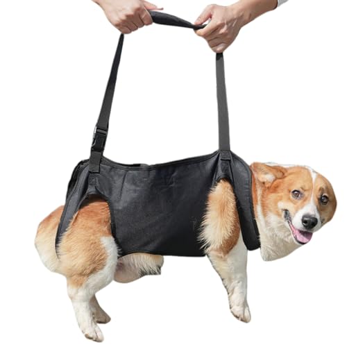Hundeliftkabelbaum mit Griff, einstellbare Schlinge für Hunde Hinterbeine, Hundeliftgurt für große Hunde für Senioren, Verletzte und Behinderte, Rehabilitationshilfe (Größe L) von LAANCOO