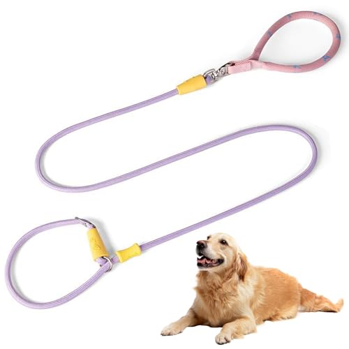 Seilhundleine, Hundeleine Seil, 5 Fuß schwere Violett -Leine, einstellbar mit weichem bequemem Griff für mittelgroße Hunde Seilhundleine, Hundeleine Seil, 5 Fuß schwere Violett -Leine, einstellbar mit weichem bequemem Griff für mittelgroße Hunde von LAANCOO