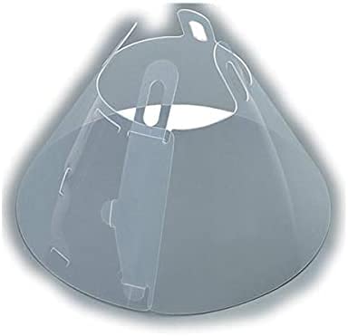 LABELVAGE Labellage Lab Hundehalsband 10 cm von LABELVAGE