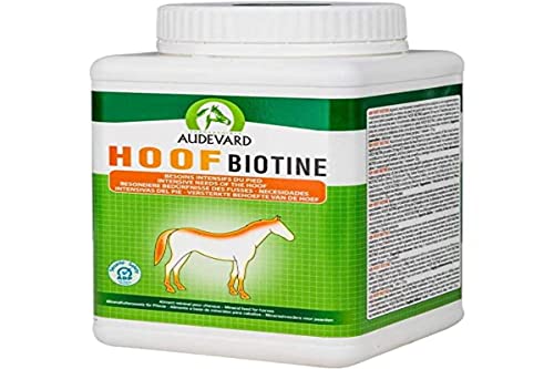 Audevard 907-6945 Hoof Biotine Labor, 1 kg von LABORATOIRES AUDEVARD
