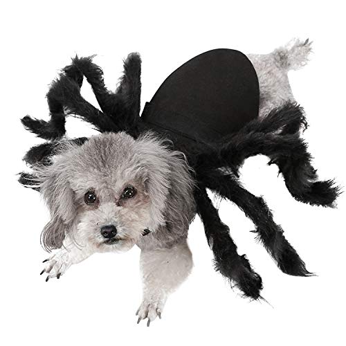 LAEMILIA Halloween Haustier Kostüme 8 Beine Spinne für Hunde und Katzen Dekoration von LAEMILIA