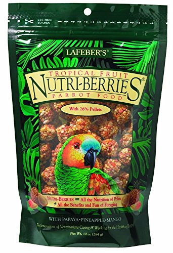(4 Pack) Lafeber Tropical Fruit Nutri-Berries Parrot Food 10 oz | Foraging Fun von Lafeber