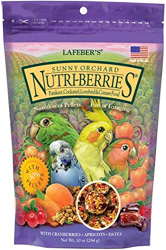 LAFEBER'S Sunny Orchard Nutri-Berries Vogelfutter, hergestellt mit Nicht-gentechnischen und menschlichen Inhaltsstoffen, für Nymphensittiche, Sittiche, Wellensittiche, 284 ml von Lafeber