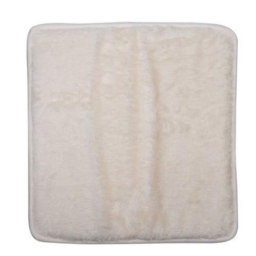 Laguna UV Leuchtmittel für pt1675 Reinigungspulver für Zierteich 28 W Laguna UV Leuchtmittel für pt1675 Reinigungspulver für Zierteich 28 W von LAGUNA