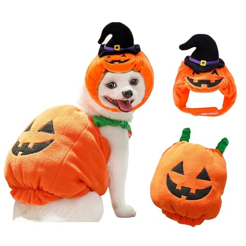 2-teiliges Halloween-Kürbis-Kostüm, Mantel und Hut für Haustiere, Hunde, Katzen, Plüsch, Halloween, Cosplay, Welpen, warmer Mantel, Tier, Herbst und Winter, Kleidung (mittel) von LAIBUY