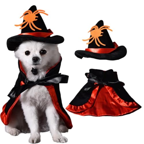 Halloween-Kostüm für Hunde und Katzen, Hexen-Kostüm, Umhang und Hut für Welpen, Cosplay, Haustierkleidung, niedliches Outfit, Zubehör für Halloween-Party-Dekoration Halloween-Kostüm für Hunde und Katzen, Hexen-Kostüm, Umhang und Hut für Welpen, Cosplay, Haustierkleidung, niedliches Outfit, Zubehör für Halloween-Party-Dekoration von LAIBUY