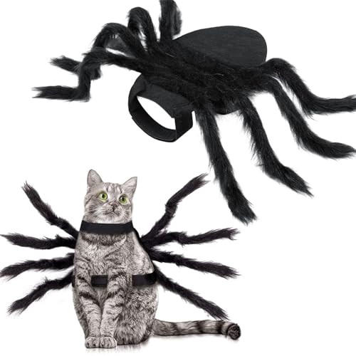 Halloween-Spinnenkostüm für Hund und Katze, Haustierkostüm, Dekoration, Spinne Cosplay-Kostüme mit verstellbarem Klettverschluss für kleine, mittelgroße Hunde und Katzen (klein) von LAIBUY