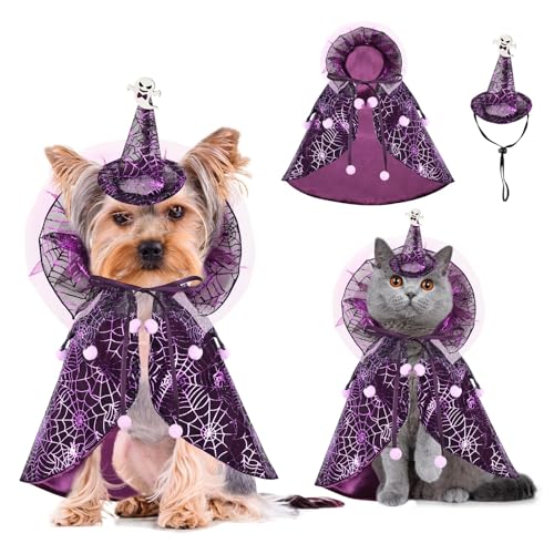 Haustier-Halloween-Kostüm mit Hut, Spinnennetz-Tüllumhang, glitzernder Katzen-Zauberer-Umhang für kleine Welpen, Kätzchen, Tier-Cosplay-Outfit (lila, Größe S) von LAIBUY