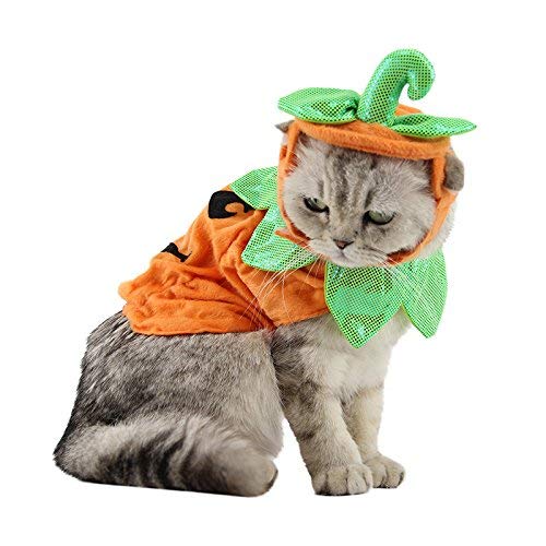 Haustier-Kürbis-Kostüm, Katze, Halloween-Hut, Umhang, Sets, Welpen, Poncho, Hund, Halloween, Cosplay, für Kätzchen, kleine, mittelgroße Hunde von LAIBUY