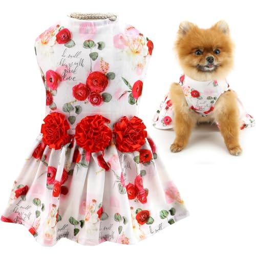 Hundekleid für kleine Hunde, Prinzessin, Haustierröcke mit roter Rose und Blumen, Welpenkleidung, Geburtstag, Urlaub, Valentinstag, Hochzeit, Chihuahua, Katzenkleidung, rote Rose, M Hundekleid für kleine Hunde, Prinzessin, Haustierröcke mit roter Rose und Blumen, Welpenkleidung, Geburtstag, Urlaub, Valentinstag, Hochzeit, Chihuahua, Katzenkleidung, rote Rose, M von LAIBUY