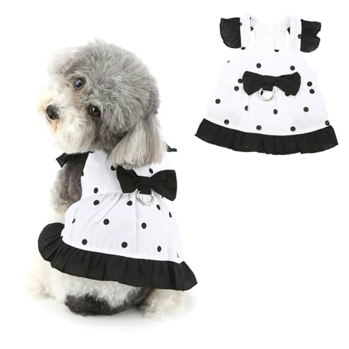 Hundekleid für weibliche kleine Hunde mit Schleife, Welpe, Prinzessin, Rock, Haustier-Geburtstag, Urlaub, Chihuahua, Yorkie, Sommer-Outfit, Katzenbekleidung, Schwarz, Größe M Hundekleid für weibliche kleine Hunde mit Schleife, Welpe, Prinzessin, Rock, Haustier-Geburtstag, Urlaub, Chihuahua, Yorkie, Sommer-Outfit, Katzenbekleidung, Schwarz, Größe M von LAIBUY