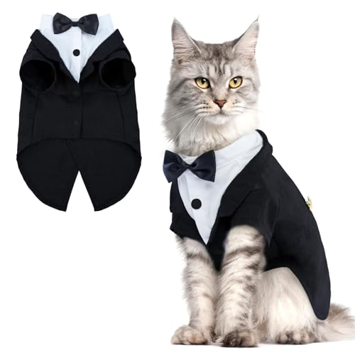 Katzen-Halloween-Kostüm, Outfit mit Fliege, Kätzchen, formelle Kleidung, Hochzeit, Geburtstag, Einteiler, Kleidung für männliche Mädchen, haarlose Katzen Katzen-Halloween-Kostüm, Outfit mit Fliege, Kätzchen, formelle Kleidung, Hochzeit, Geburtstag, Einteiler, Kleidung für männliche Mädchen, haarlose Katzen von LAIBUY