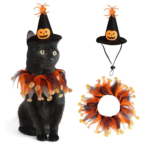 Katzenhexe Halloween-Kostüm, Anzug für kleine Hunde und Katzen, Tutu-Halsband und Hexenkürbis-Hut, niedliches Kostüm, Anzug, Kätzchen-Outfit, Kleidung für Geburtstagsparty, Erntedankfest, Weihnachten Katzenhexe Halloween-Kostüm, Anzug für kleine Hunde und Katzen, Tutu-Halsband und Hexenkürbis-Hut, niedliches Kostüm, Anzug, Kätzchen-Outfit, Kleidung für Geburtstagsparty, Erntedankfest, Weihnachten von LAIBUY