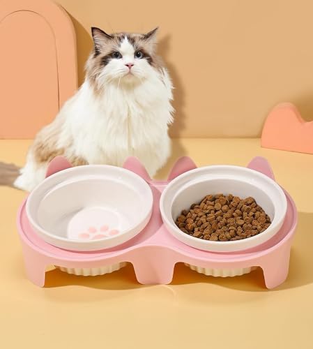 Katzennäpfe, erhöhte Katzennäpfe, erhöhter Futternapf und Wassernapf, rutschfest, geneigt, Keramik, erhöhter Futternapf mit Ständer für Welpen, Kaninchen, Katzen und kleine Hunde Katzennäpfe, erhöhte Katzennäpfe, erhöhter Futternapf und Wassernapf, rutschfest, geneigt, Keramik, erhöhter Futternapf mit Ständer für Welpen, Kaninchen, Katzen und kleine Hunde von LAIBUY
